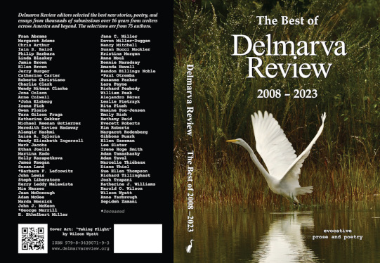 Cover of The Best of Delmarva Review 2008-2023