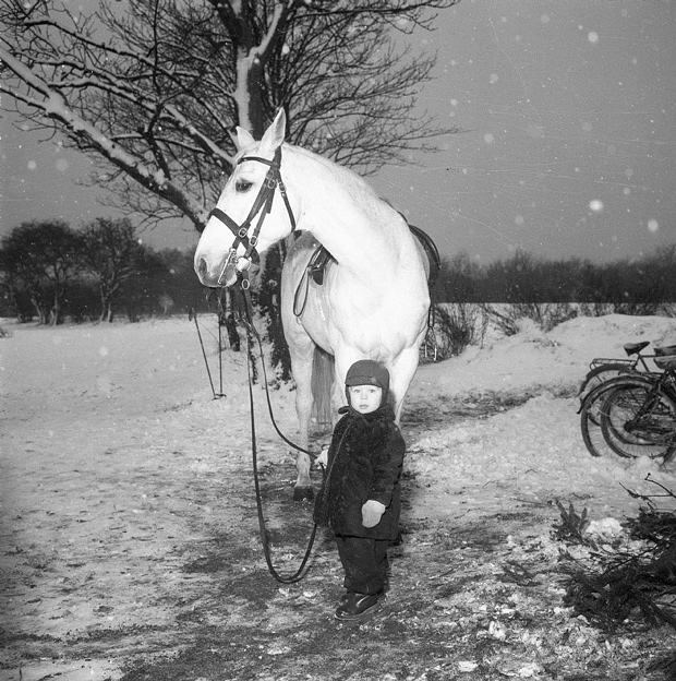 A boy with a white horse